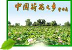 &#22810;&#23453;&#32593;&#39029;&#29256;&#45;&#22810;&#23453;&#65288;&#20013;&#22269;&#65289;